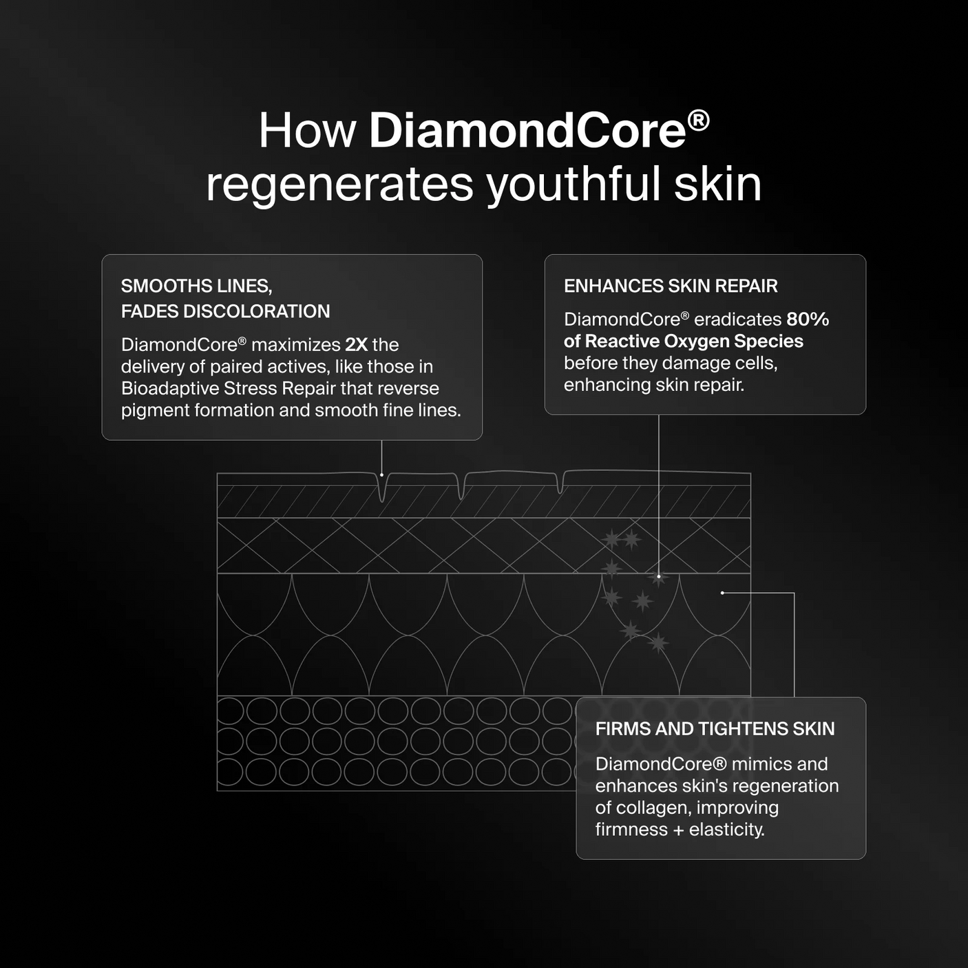 Pavise Bioadaptive Stress Repair - 1.0 fl. oz.